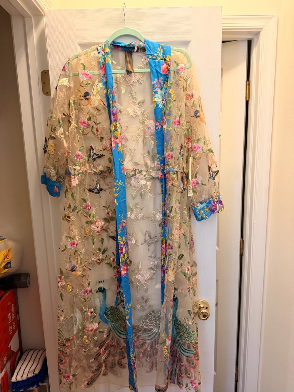 Aratta Sheer Embroidered Peacock Duster with Blue Trim